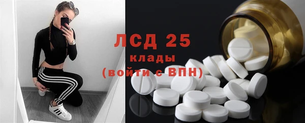 PSILOCYBIN Чекалин