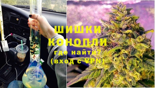 дживик Балахна