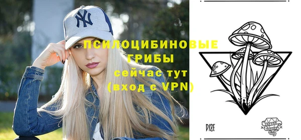 дживик Балахна