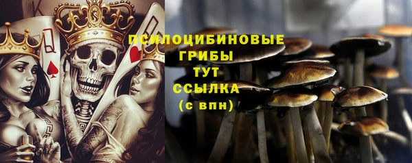 ECSTASY Баксан