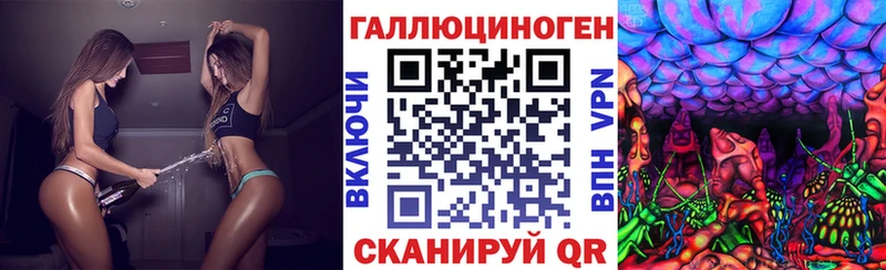 как найти закладки  Новомичуринск  Галлюциногенные грибы Psilocybine cubensis 